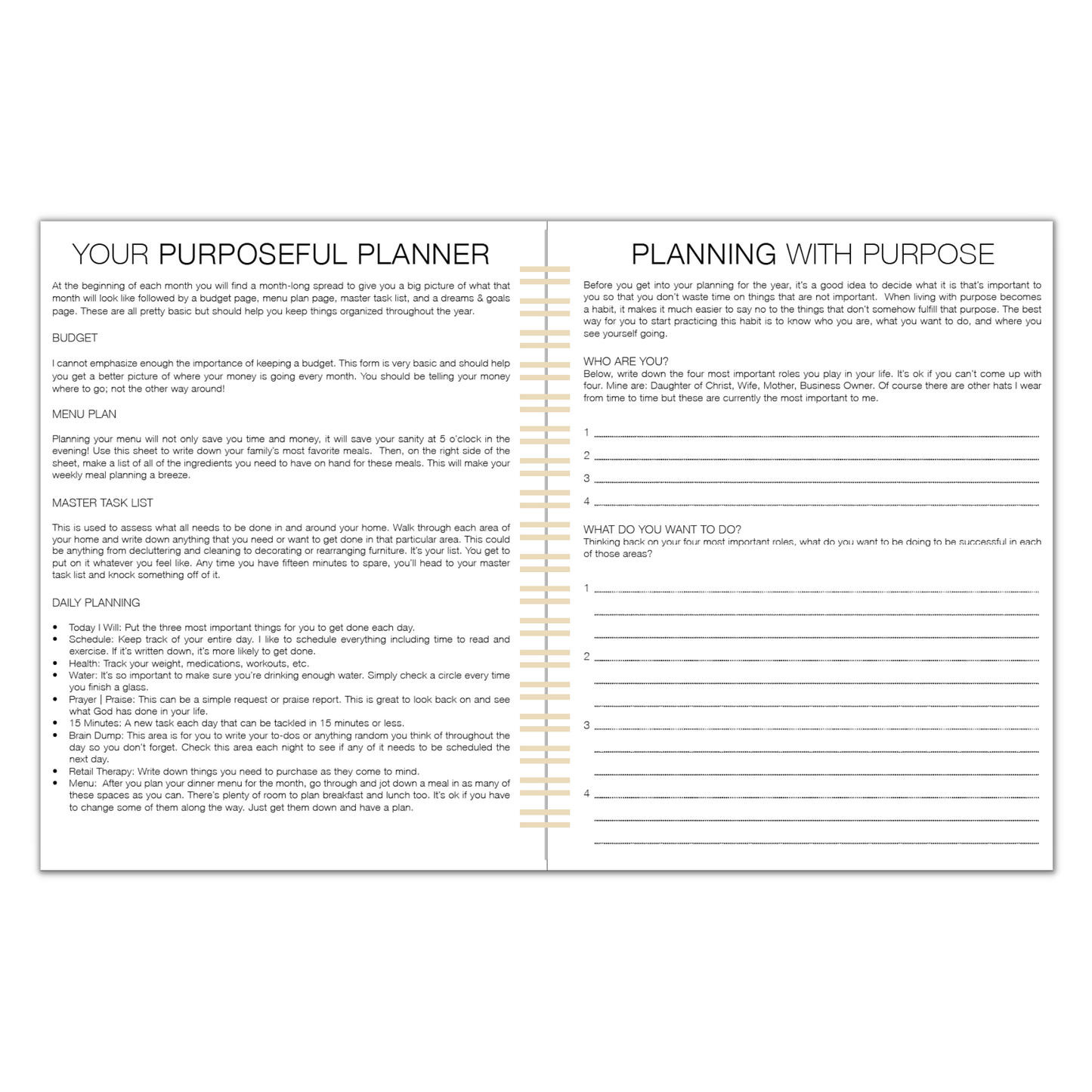 2024 Daily Purposeful Planner - Sand Damier